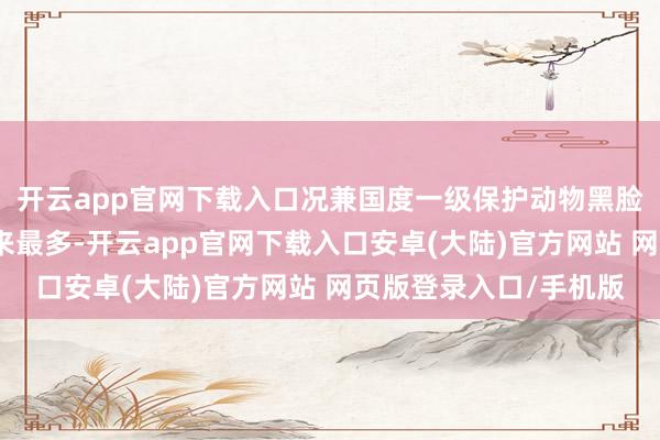 开云app官网下载入口况兼国度一级保护动物黑脸琵鹭数目也达到连年来最多-开云app官网下载入口安卓(大陆)官方网站 网页版登录入口/手机版
